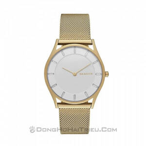 Đồng hồ Skagen SKW2377 – Dây Kim Loại