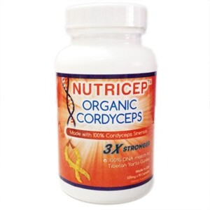 Đông Trùng hạ Thảo thượng hạng của Mỹ Nutricep Organic Cordyceps