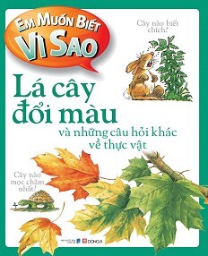 Em muốn biết vì sao Lá cây đổi màu