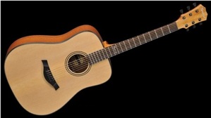 Đàn Guitar Famosa Acoustic FD15S