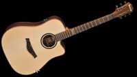 Đàn Guitar Famosa Acoustic FD35SUE