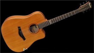 Đàn Guitar Famosa Acoustic FD425CU