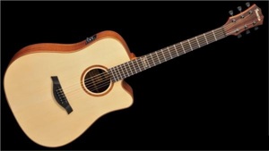 Đàn Guitar Famosa Acoustic FD425SUE