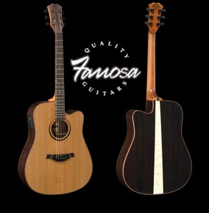 Đàn Guitar Famosa Acoustic FD550CUE