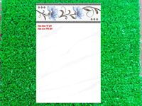 Gạch 25x40 TPV261