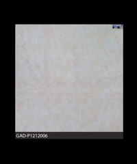 Gạch Ấn Độ 1200mm*1200mm GAD-P1212006