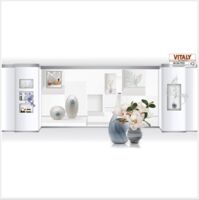 Gạch điểm ốp tường Vitaly 30x60 W3679D