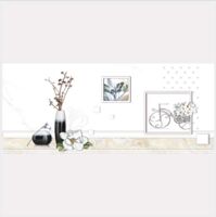 Gạch điểm ốp tường Vitaly 30x60 TP36004D