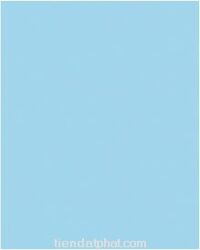Gạch Đồng tâm 20x25 2541
