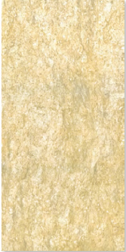 Gạch Đồng Tâm 30×60 FOSSIL001