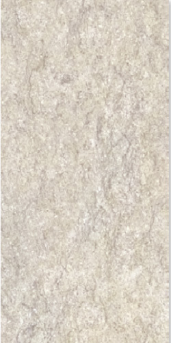 Gạch Đồng Tâm 30x60 FOSSIL002