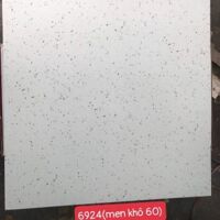 Gạch giả đá Granito Terrazzo 60×60 6924