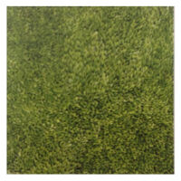 Gạch lát Đồng Tâm – 4040GRASS001 (40×40)