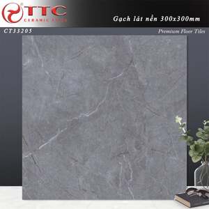 Gạch lát nền 30×30 TTC CT33205