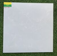Gạch lát nền 50x50 AP1003