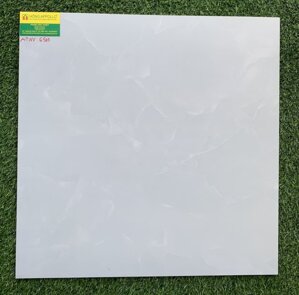 Gạch lát nền 50x50 AP1003