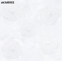 Gạch lát nền 600mm*600mm Bán sứ ak3d6002 Royal