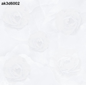 Gạch lát nền 600mm*600mm Bán sứ ak3d6002 Royal