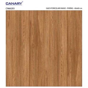 Gạch lát nền 60×60 TTC Ceramic CN66203