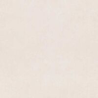 Gạch lát nền 60×60 TTC Ceramic PM66004
