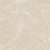 Gạch lát nền 60×60 TTC Ceramic PS66003