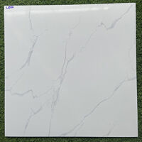 Gạch lát nền 60x60 L6026