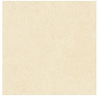 Gạch lát nền 60X60 Royal FL6003