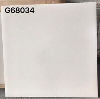 Gạch lát nền 60x60 Taicera G68034