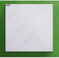 Gạch lát nền 60X60  World Tiles 6301