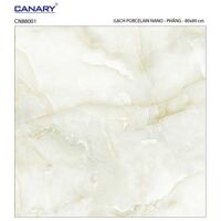 Gạch lát nền 80×80 TTC Ceramic CN88001