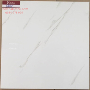 Gạch lát nền Catalan 60x60 6802