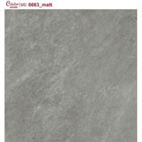 Gạch lát nền Catalan 6663 - 60x60