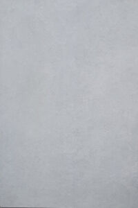 Gạch lát nền MF8666 - VN