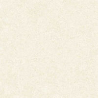 Gạch lát nền MQ6643-VN