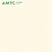 Gạch lát nền Sunrise 80×80 MTC9801