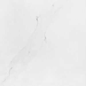 Gạch lát nền Taicera 60×60 P67592N