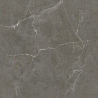 Gạch lát nền Tasa 60x60 BD6906