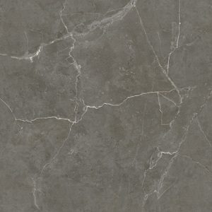 Gạch lát nền Tasa 60x60 BD6906