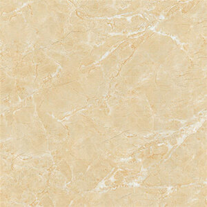 Gạch lát nền Tasa 60x60 BD6911