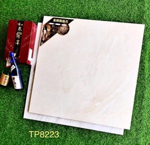 Gạch lát nền Trung Quốc 80x80 TP8223