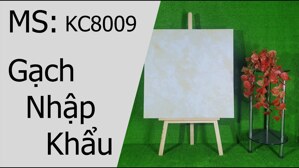 Gạch lát nền Trung Quốc 80x80 KC8009