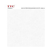 Gạch lát nền TTC 60x60 PN66035