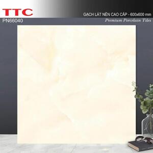 Gạch lát nền TTC PN66040 - 60x60