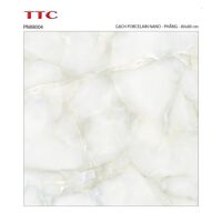 Gạch lát nền TTC PN88004 - 80x80