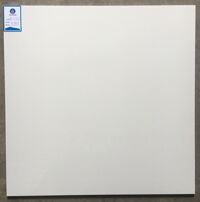 Gạch lát nền Viglacera 60x60 ECOS600