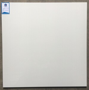 Gạch lát nền Viglacera 60x60 ECOS600