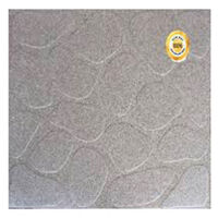 Gạch lát sân đá Granite TP-GS204