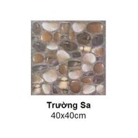 Gạch lát sân Đồng Tâm TRUONGSA001 - 40x40 cm