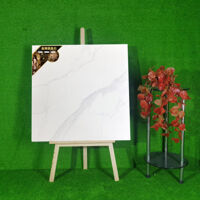 Gạch nhập khẩu 800mm*800mm DCH8566