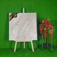 Gạch nhập khẩu 800mm*800mm DCH8009